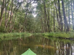 rzeka, spływ kajakowy