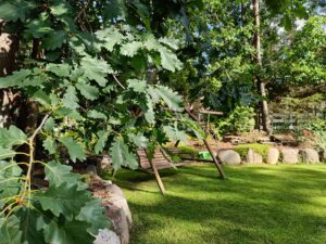 huśtawka w ogrodzie