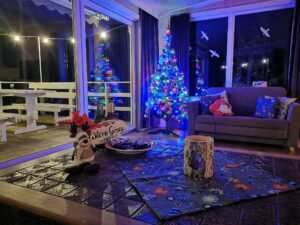 salon, wystrój zimowy